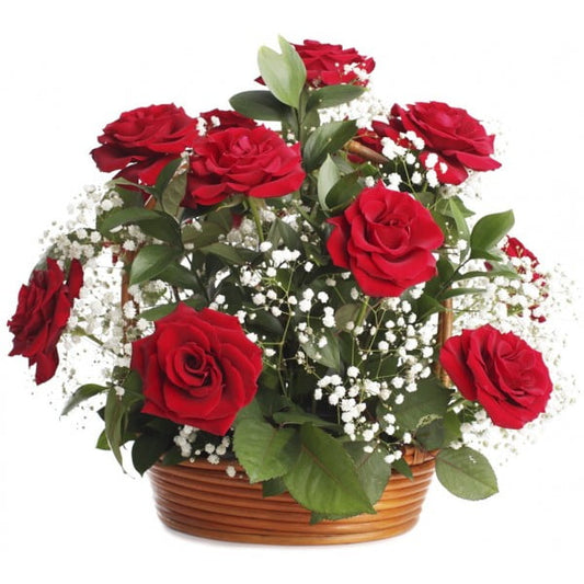 Classic Rose Basket with fresh red roses and white fillers
