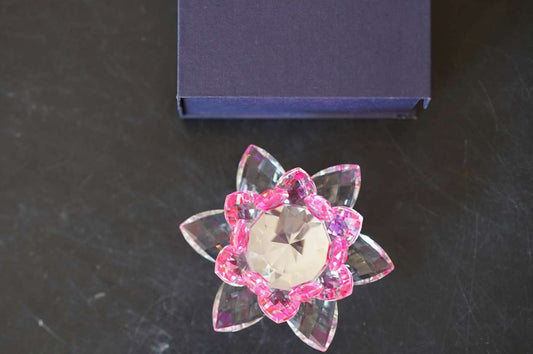 Lotus Revolving Pink