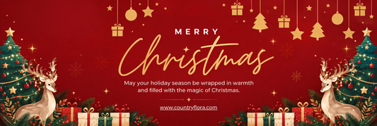 Sending Unique Christmas Flower & Cake Combos to Your Loved Ones!