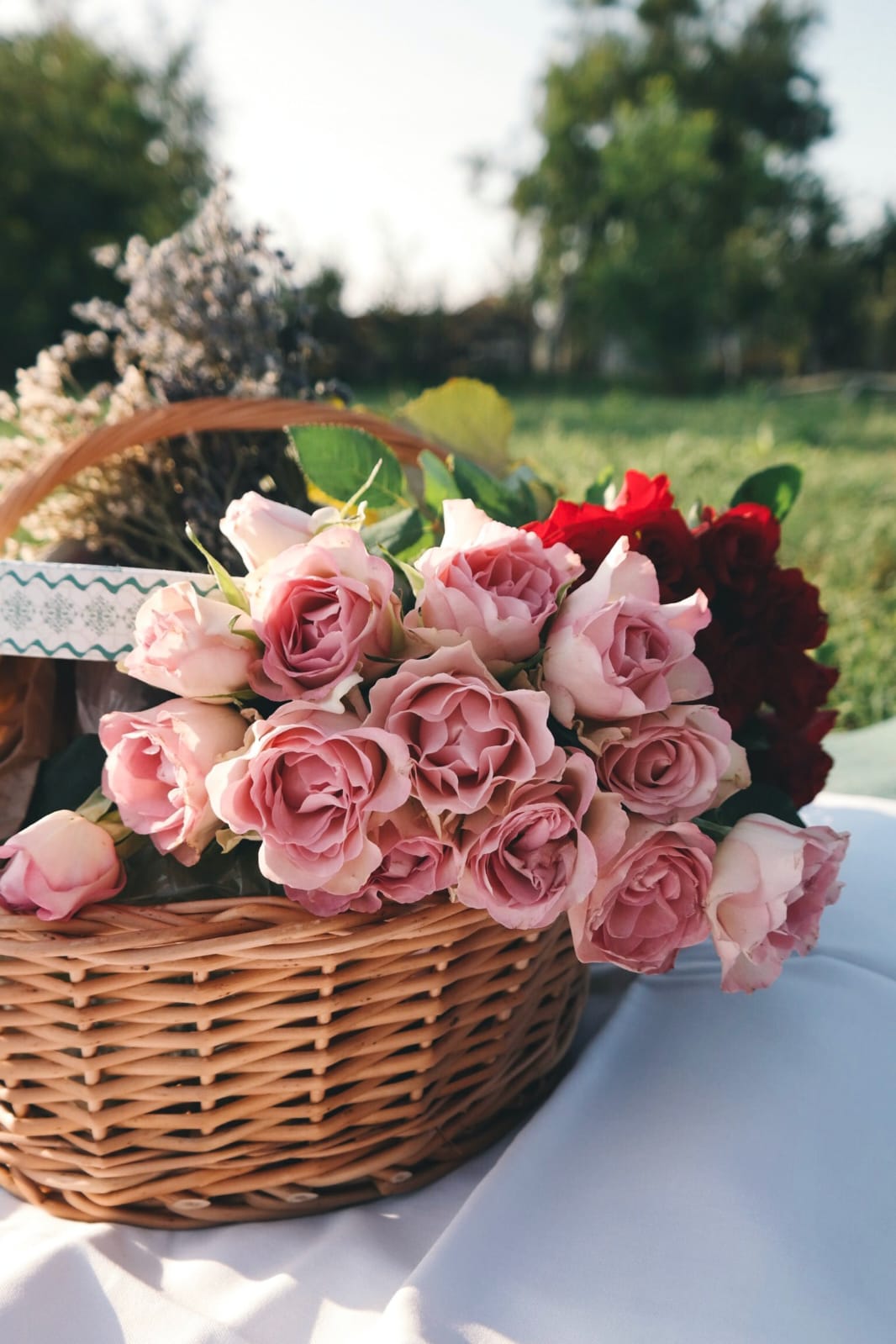Rose Day