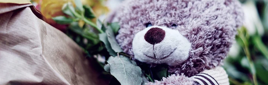 Why do we celebrate teddy day