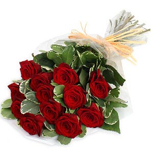 fresh red roses bunch simple romantic flower bouquet