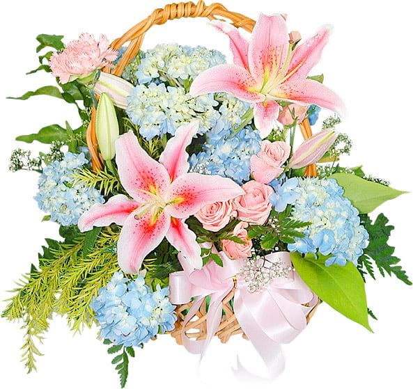 Luxury Pink Lily and Blue Hydrangea Flower Basket Arrangement