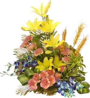 Blooms of Mist