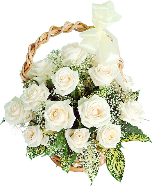 Premium White Rose Basket Arrangement for Same Day Flower Delivery
