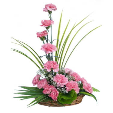 Pink Carnation Floral Basket Arrangement for Same Day Flower Delivery
