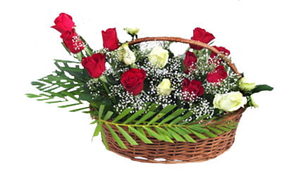 Rose Enchantment