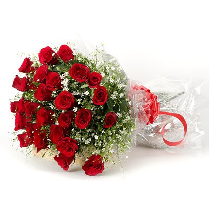 red roses bouquet with baby breath gypsophila flowers