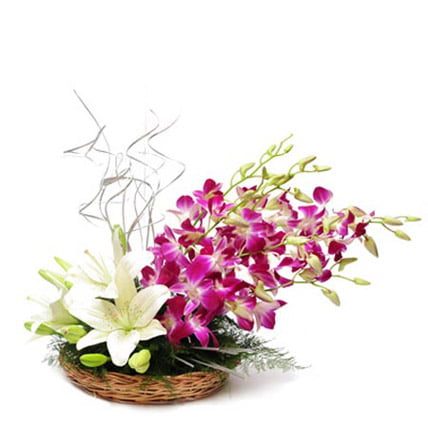 Whimsical Beauty