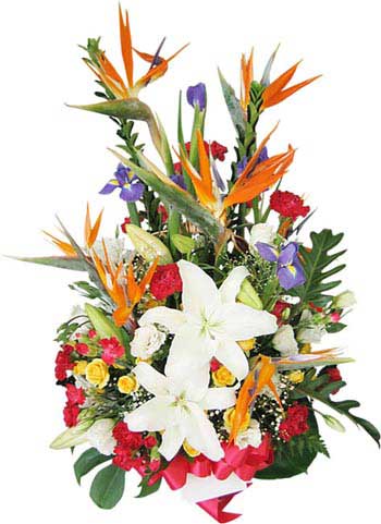Exotic Bird of Paradise and White Lily Premium Flower Arrangement