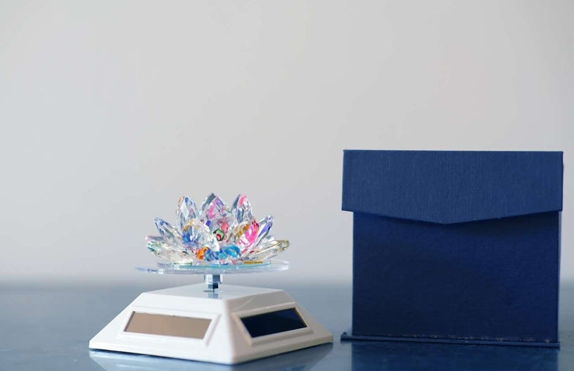 Soler Lotus Small White