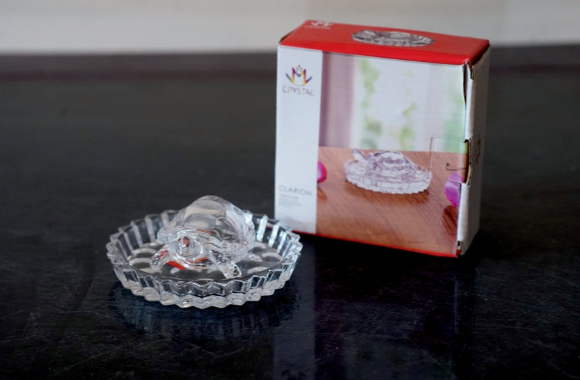 Turtle Miny Set Wit Plate