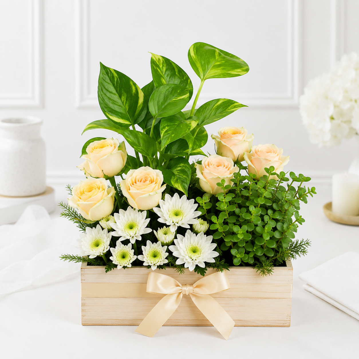 Verdant Harmony plant and flower box with cream roses white daisies and green indoor plant