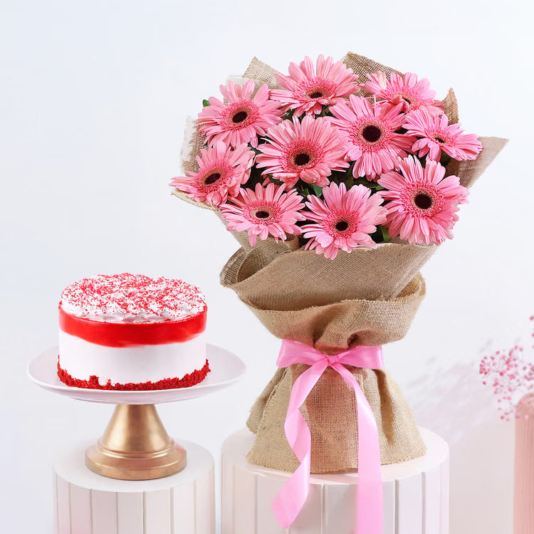 Pink gerbera bouquet with red velvet cake combo for birthday and anniversary gifting