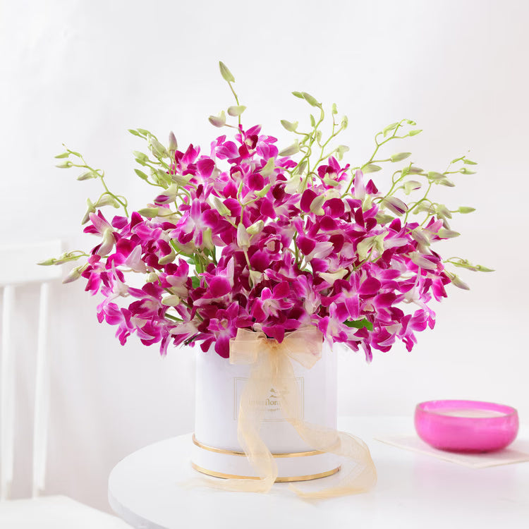 Purple Orchid Luxury Box with fresh purple orchids in white round gift box