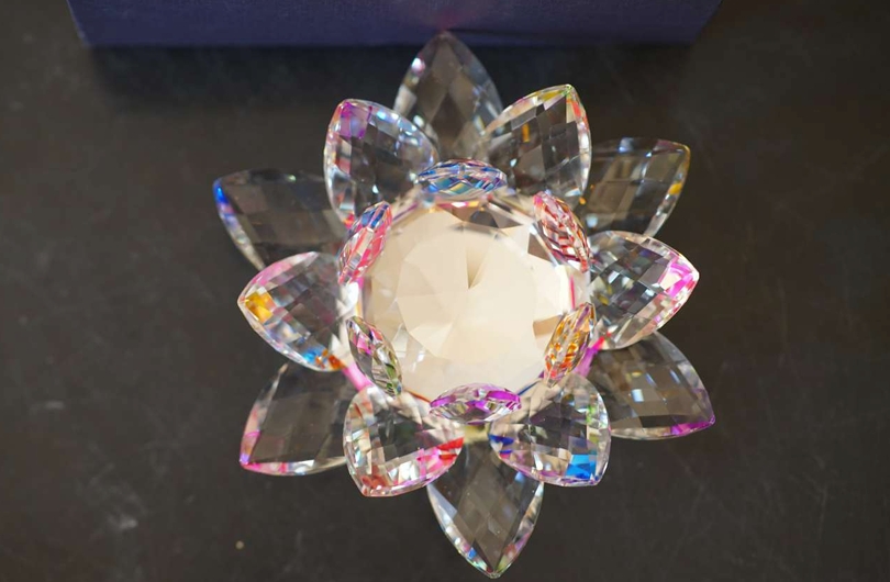 Lotus REVOLING LH 80