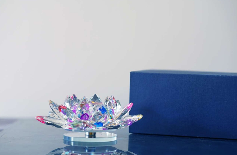 Lotus Revolving LH 100