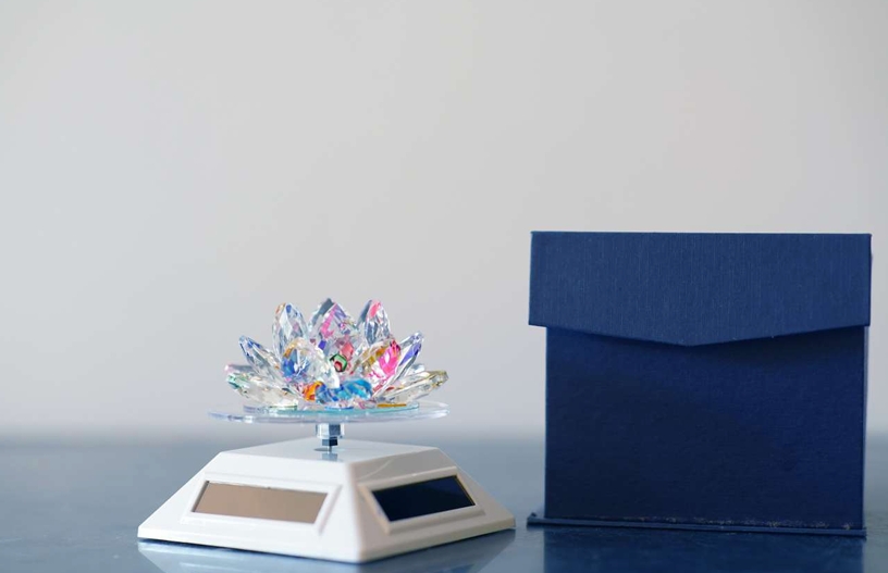 Soler Lotus Small White