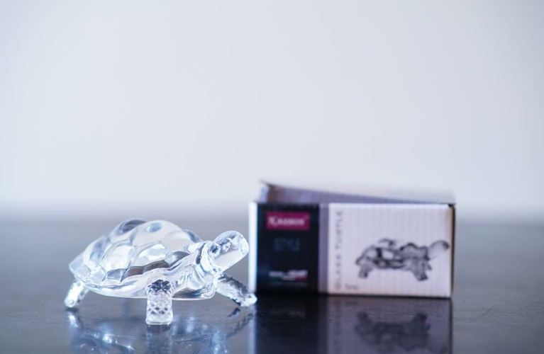 Tortoise Small Karbon