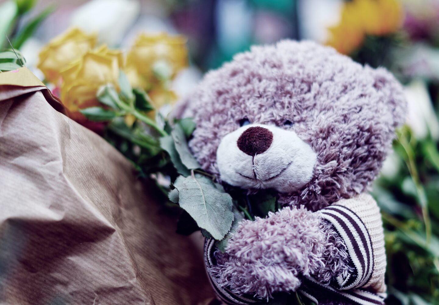 Why do we celebrate teddy day