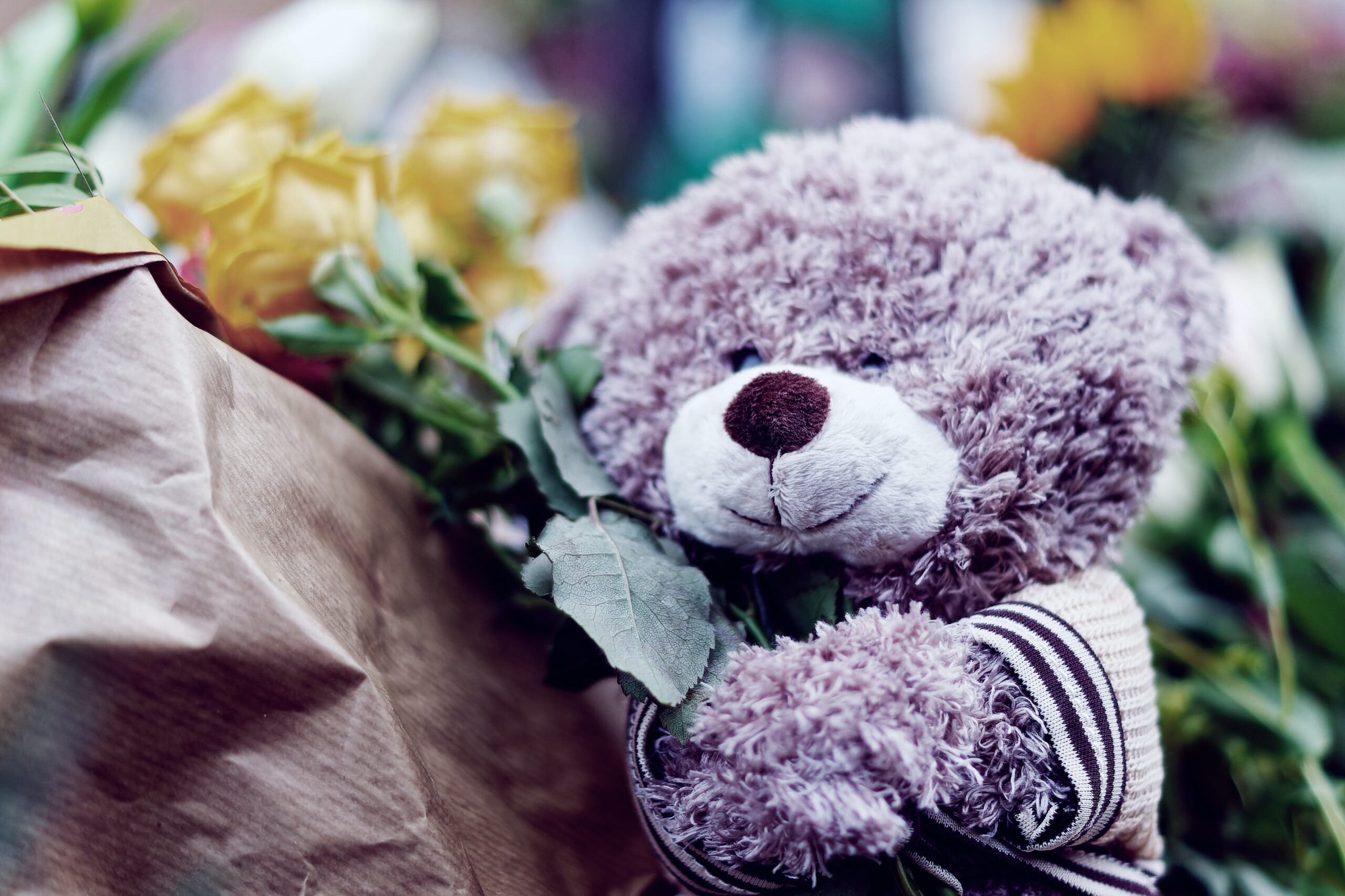 Why do we celebrate teddy day