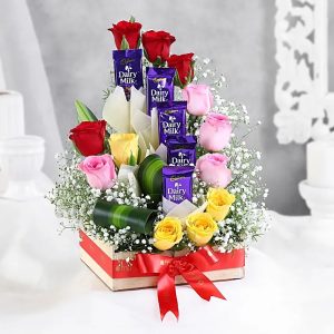 Mixed roses arrangement with Dairy Milk chocolates in premium floral gift box