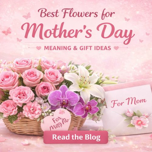 Best Flowers for Mother’s Day – Meaning & Gift Ideas