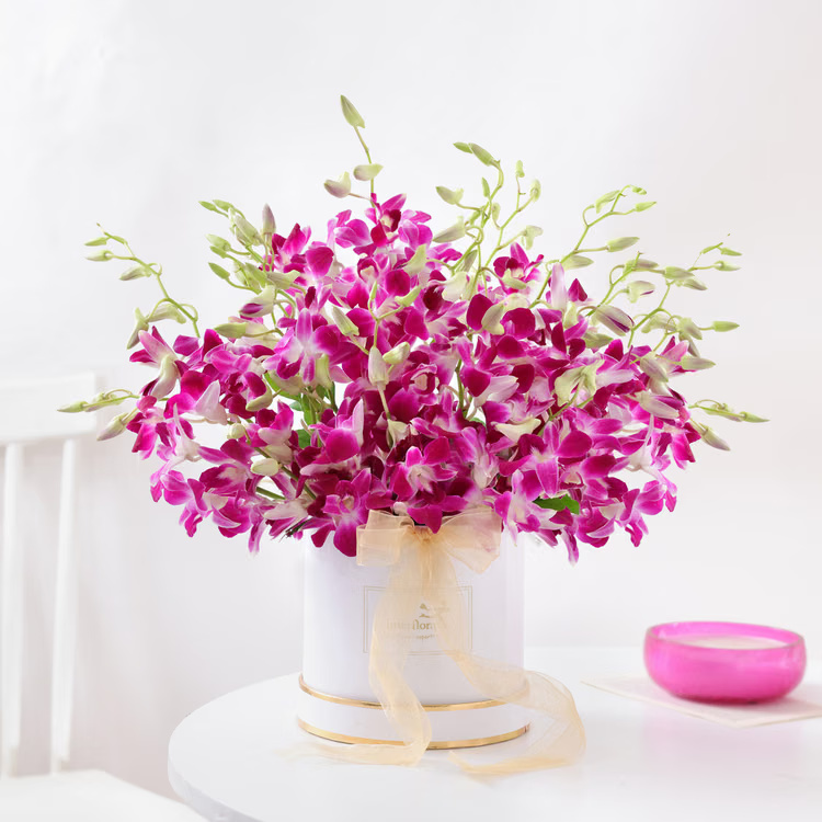 Purple Orchid Luxury Box with fresh purple orchids in white round gift box